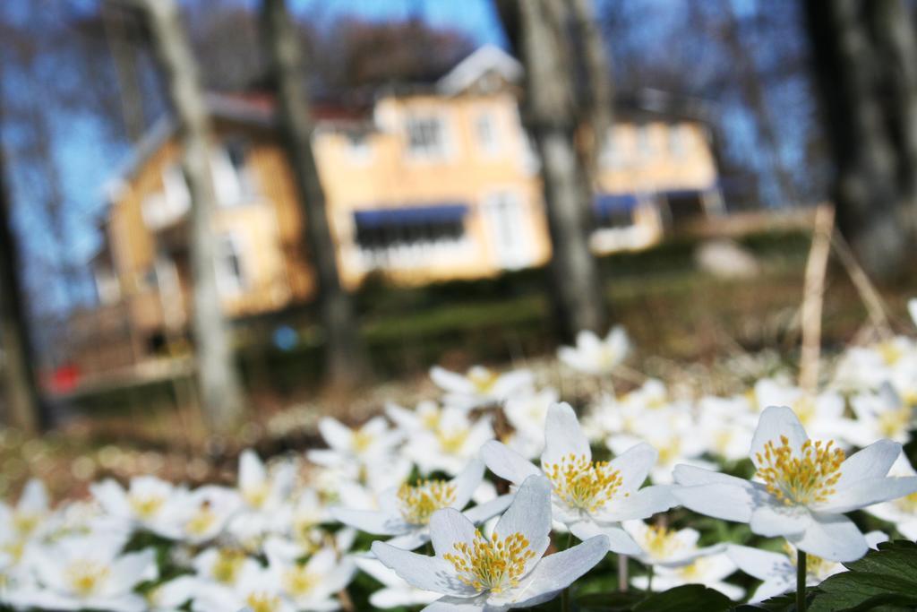 Toftastrand Hotell Växjö Exteriér fotografie